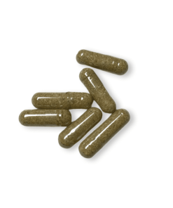 Zauberpilzkapseln 500 mg