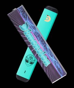 DMT Einweg-Stift (0,5 Gramm)