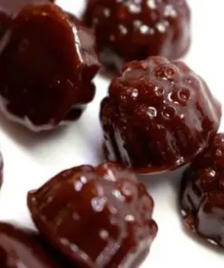 Dames Gummy Co. – Pilzgummibärchen (1500 mg)