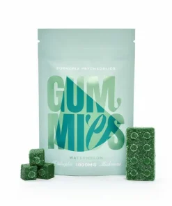 Kaufen Sie Euphoria Psychedelics Wassermelonen-Gummy 1000 mg