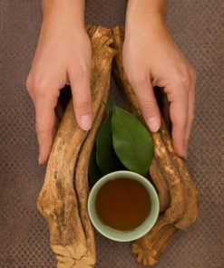 Soul Herbs: Ayahuasca kaufen | Ayahuasca online kaufen